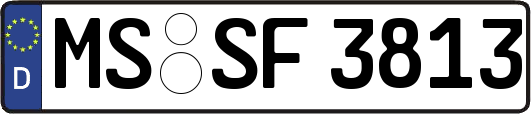 MS-SF3813