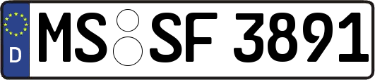 MS-SF3891