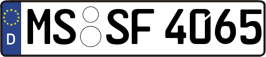 MS-SF4065