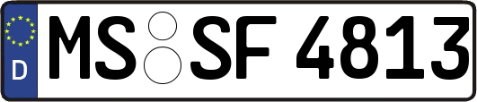 MS-SF4813