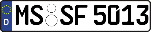 MS-SF5013