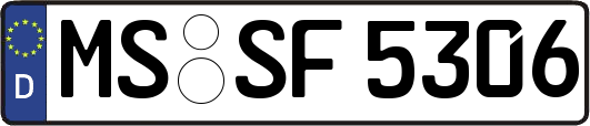 MS-SF5306