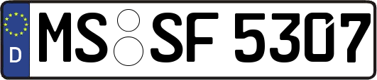 MS-SF5307
