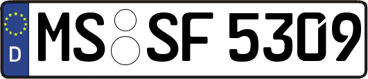 MS-SF5309