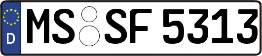 MS-SF5313