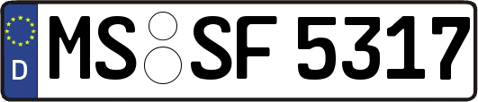 MS-SF5317