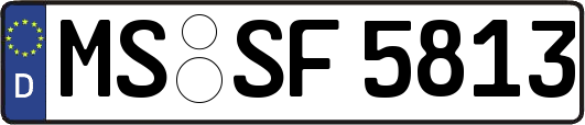 MS-SF5813