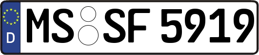 MS-SF5919