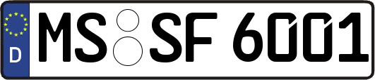 MS-SF6001