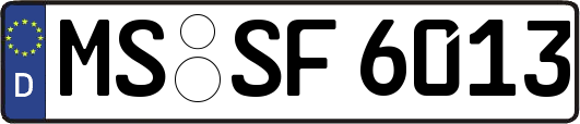 MS-SF6013