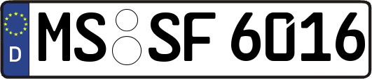 MS-SF6016