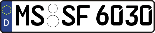 MS-SF6030