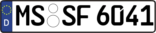 MS-SF6041