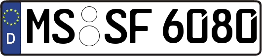 MS-SF6080