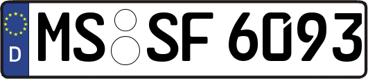 MS-SF6093