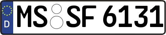 MS-SF6131