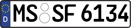 MS-SF6134
