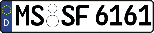 MS-SF6161