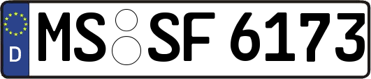 MS-SF6173