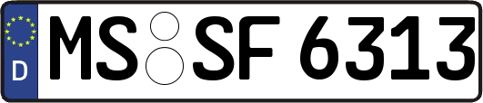 MS-SF6313