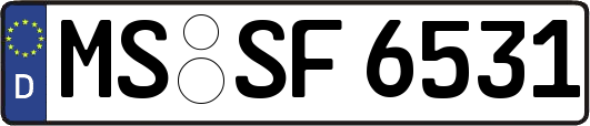 MS-SF6531