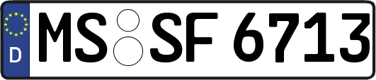 MS-SF6713