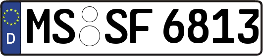 MS-SF6813