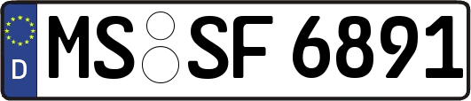 MS-SF6891