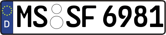 MS-SF6981