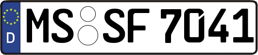 MS-SF7041