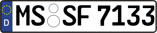 MS-SF7133