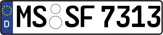 MS-SF7313