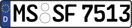 MS-SF7513