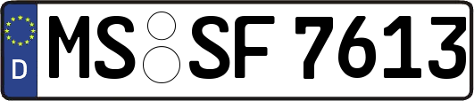 MS-SF7613
