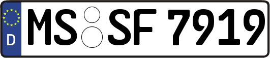 MS-SF7919