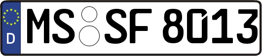 MS-SF8013