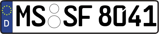 MS-SF8041