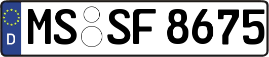 MS-SF8675