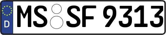 MS-SF9313