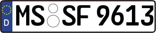 MS-SF9613