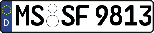 MS-SF9813