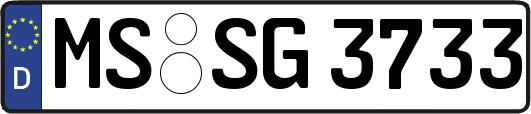 MS-SG3733