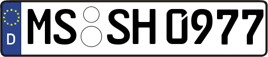 MS-SH0977