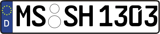 MS-SH1303