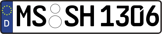 MS-SH1306