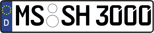 MS-SH3000