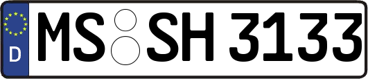 MS-SH3133