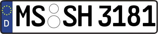 MS-SH3181