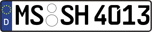 MS-SH4013