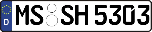 MS-SH5303